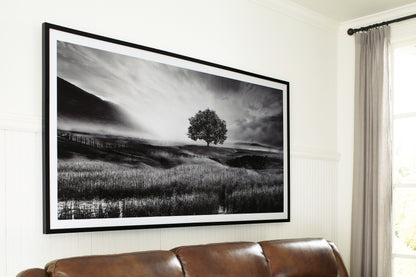 Bradenton Furniture Outlet - Ashley Furniture - Deborland Wall Decor - Wall Art / Black/White - A8000341