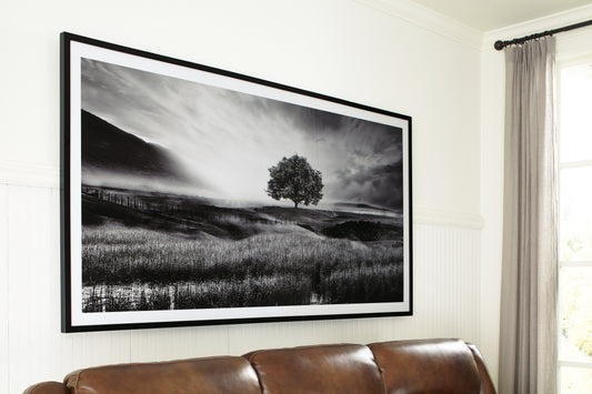 Bradenton Furniture Outlet - Ashley Furniture - Deborland Wall Decor - Wall Art / Black/White - A8000341