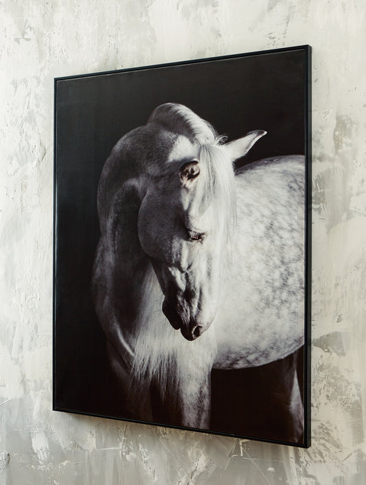 Bradenton Furniture Outlet - Ashley Furniture - Archerwick Wall Decor - Wall Art / Black/White - A8000409