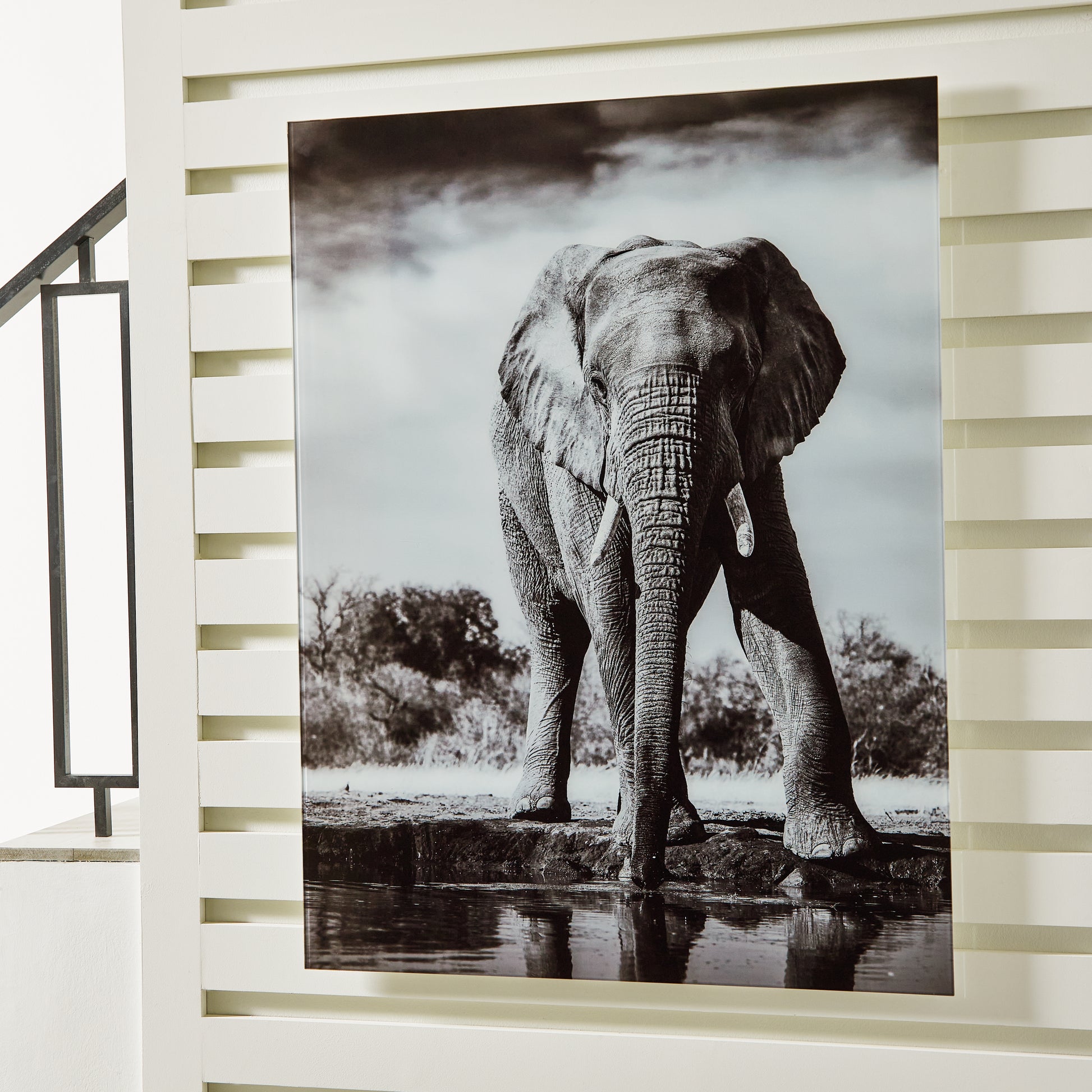 Bradenton Furniture Outlet - Ashley Furniture - Glinyard Wall Decor - Wall Art / Black/White - A8000421