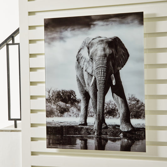 Bradenton Furniture Outlet - Ashley Furniture - Glinyard Wall Decor - Wall Art / Black/White - A8000421