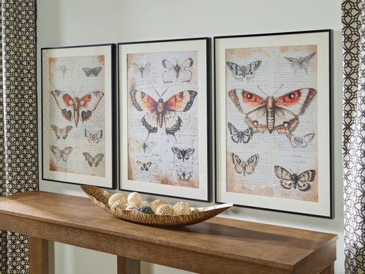 Bradenton Furniture Outlet - Ashley Furniture - Jossletts Wall Decor - Wall Art Set (3/CN) / Orange/Black/Ivory - A8000490