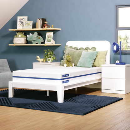 Bradenton Furniture Outlet - Ashley Furniture - Nectar Foam Kids Mattresses - Full - M11721