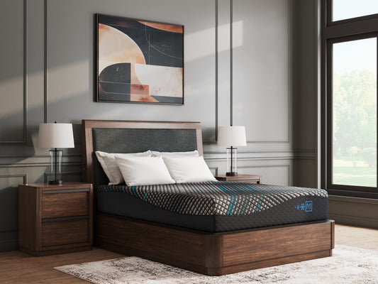 Bradenton Furniture Outlet - Ashley Furniture - Millennium 2.0 Foam 12 Inch Mattresses - Queen / Black - M31131