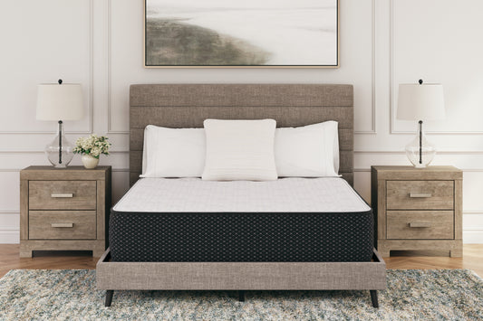 Bradenton Furniture Outlet - Ashley Furniture - Limited Edition Plush Mattresses - Queen / White - M41131