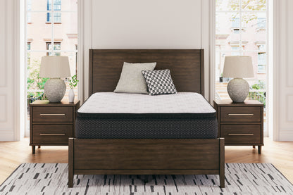 Bradenton Furniture Outlet - Ashley Furniture - Limited Edition PT Mattresses - Queen / White - M41231