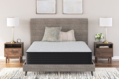 Bradenton Furniture Outlet - Ashley Furniture - Palisades Plush Mattresses - Queen / Gray/Blue - M41631