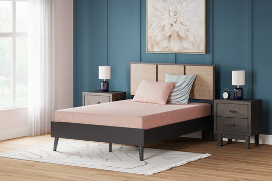 Bradenton Furniture Outlet - Ashley Furniture - iKidz Coral Mattresses - Twin and Pillow 2/CN / Coral - M43111