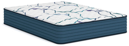 Bradenton Furniture Outlet - Ashley Furniture - Limited Edition Firm 3.0 Mattresses - Queen - M45031
