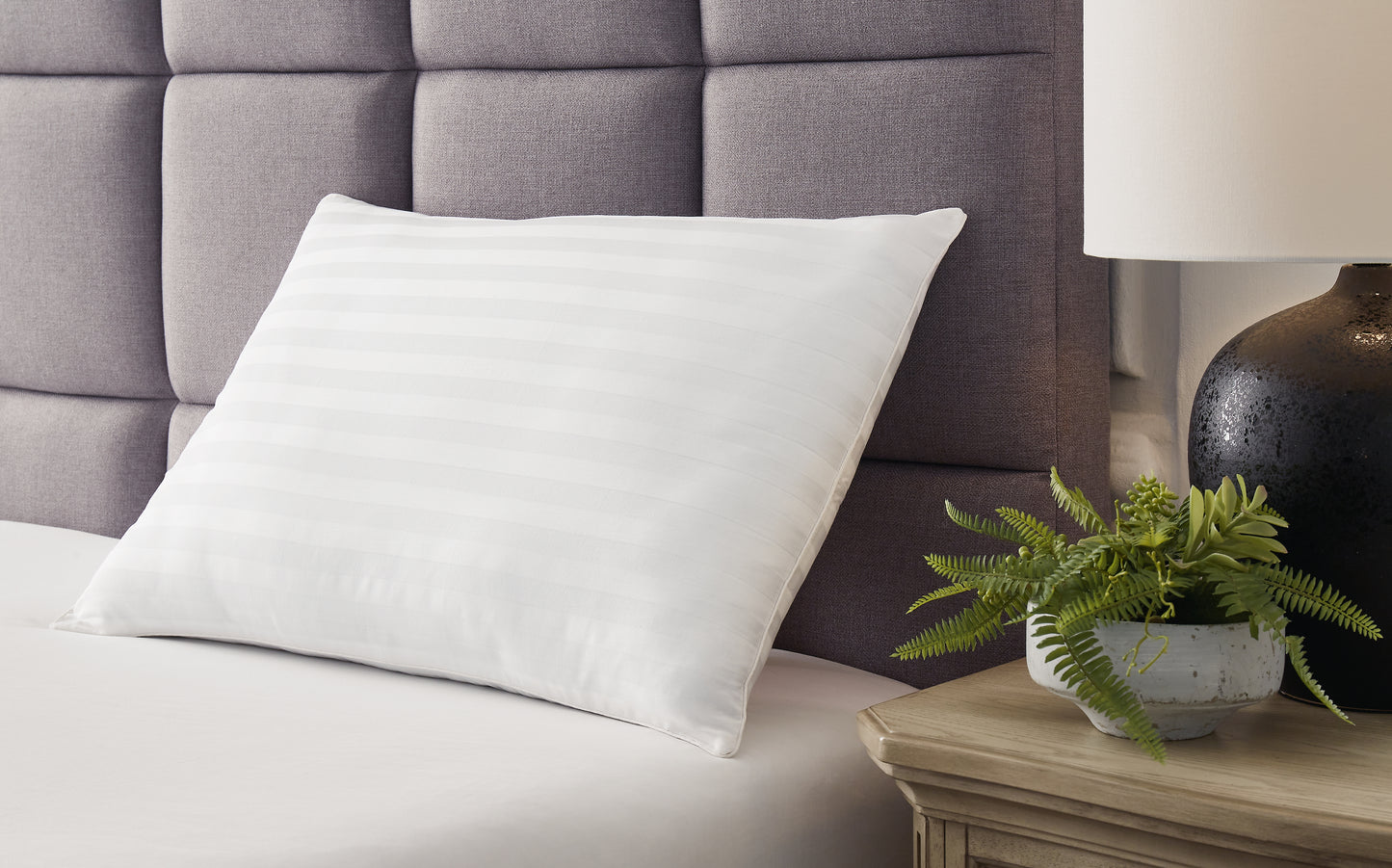 Bradenton Furniture Outlet - Ashley Furniture - Zephyr 2.0 Pillows - Cotton Pillow (Set of 2)(9/CS) / White - M52110