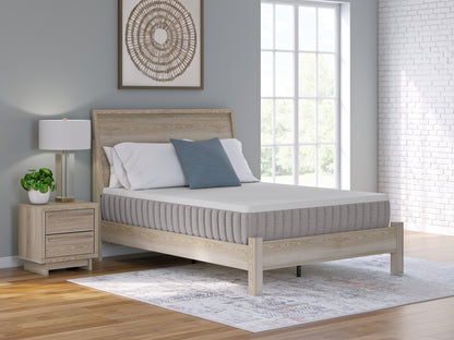 Bradenton Furniture Outlet - Ashley Furniture - Terra Sleep Firm Mattresses - California King / White - M52251