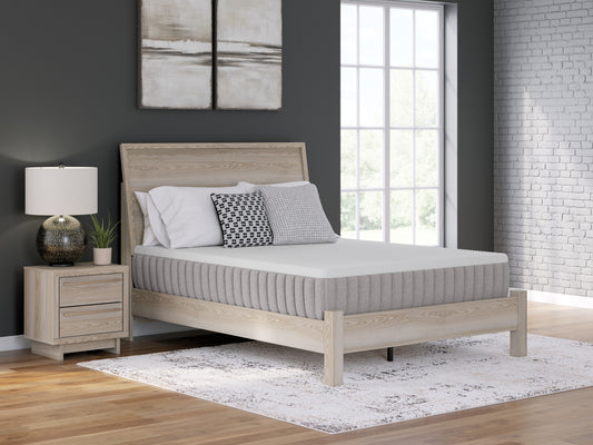 Bradenton Furniture Outlet - Ashley Furniture - Terra Sleep Medium Mattresses - Queen / White - M52331