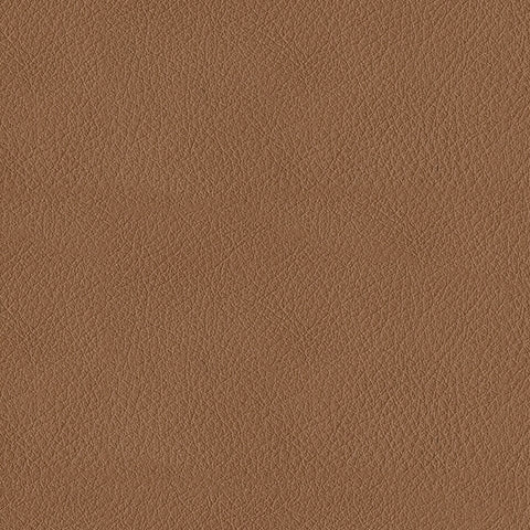 Flynwood Living Room